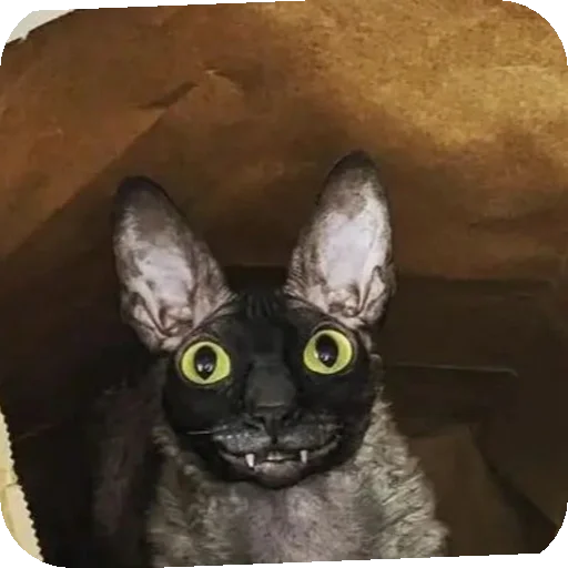 Sticker StikeryNaVsyuZhizn5 - 1