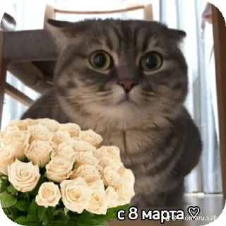 Стикер Гитлер Студио ☠ - 10