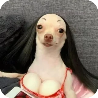 Стикер Гитлер Студио ☠ - 2