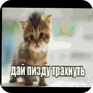 Стикер Гитлер Студио ☠ - 0