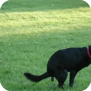 Sticker Стикеры от ItsArtemus 2 - 7