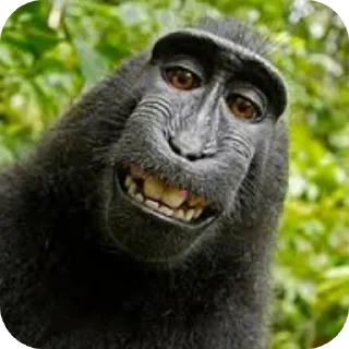 Sticker Стикеры от ItsArtemus 2 - 2