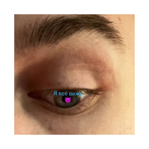 eyelash eyes closeup