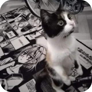 Стикер стики дайсуке ч2 @daisukeAaAA - 11