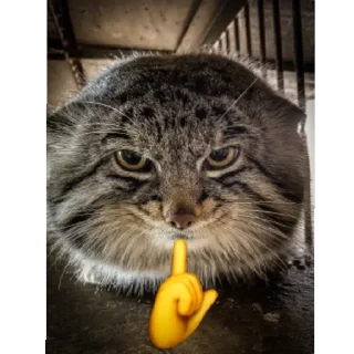 Стикер Стики Ямато @Yamete_Kudasai_MW - 10