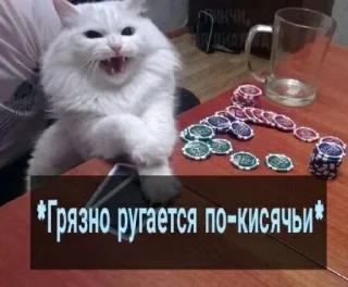 Стики котиковых by @fStikBot - cat