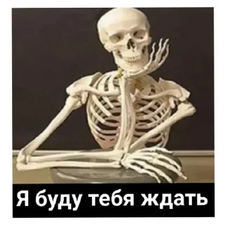 Стикер Ꮆ. Ꮶ. Ꮙ. Стики от Ксю - 10