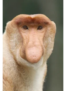 Sticker Стикер - 3