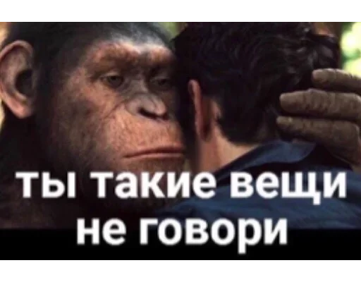 Sticker Стикерпак Ser Gei by @fStikBot - 9