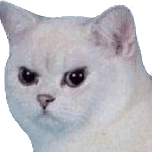 Sticker Стикерпак Ser Gei by @fStikBot - 5