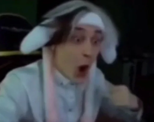 Человек человеческое лицо комнатный