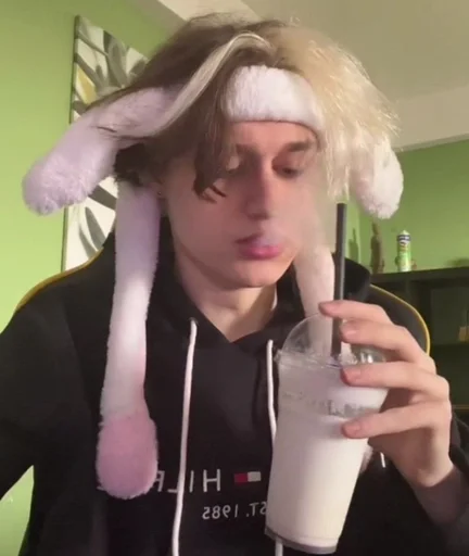 Человек человеческое лицо комнатный