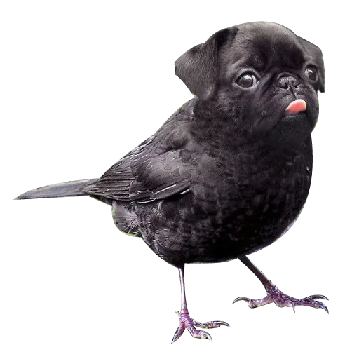 Стикер StrangeAnimalsSPACK - 1