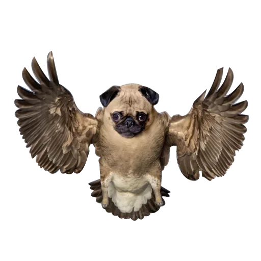 Strange Animals @stickersb2b - 