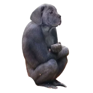 Стикер Strange Animals @stickersb2b - 2