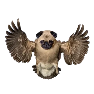 Стикер Strange Animals @stickersb2b - 7