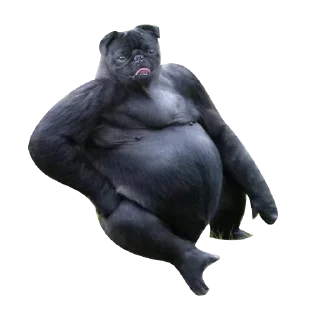 Стикер Strange Animals @stickersb2b - 0