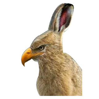 Стикер Strange Animals @stickersb2b - 4