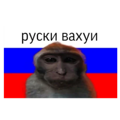Страны вахуи - 