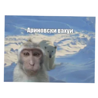 Sticker Страны вахуи - 3