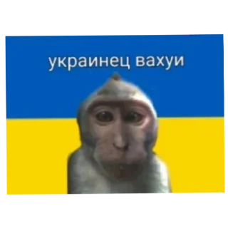 Sticker Страны вахуи - 6