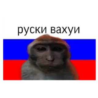 Sticker Страны вахуи - 5