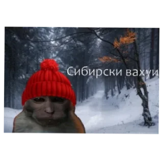 Sticker Страны вахуи - 4