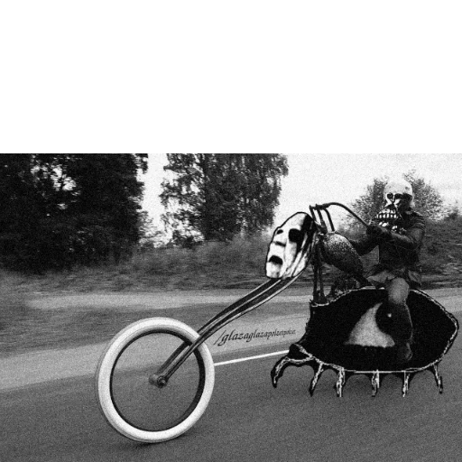 black and white outdoor wheel