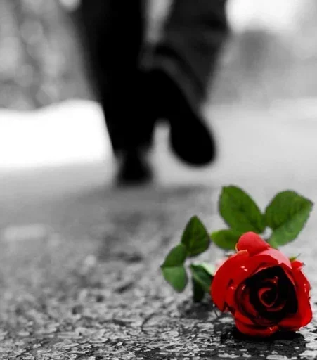 Sticker Strasttttt - 1