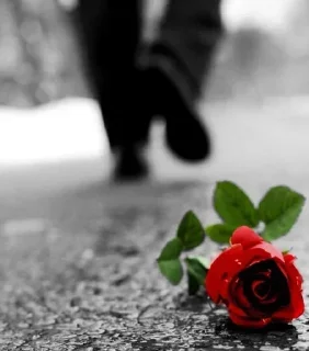 Sticker ṠȾṜ₳ṠȾϦ - 8