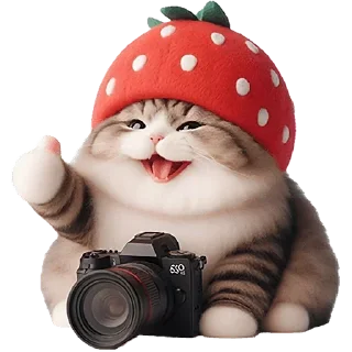 Sticker Strawberry Cat @SbornikStickers - 9