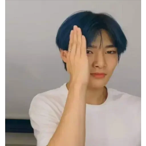 person human face hairpiece