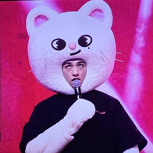 мультфильм млекопитающее кошка