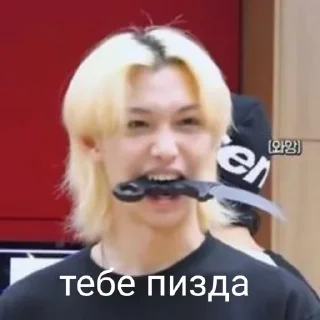 Sticker Stray kids world domination - 5