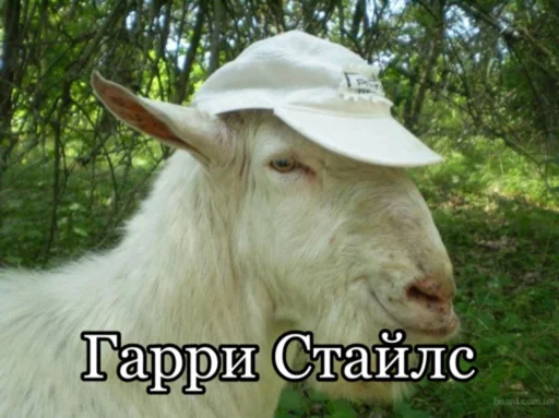 Sticker Родина дурка зовёт - 3