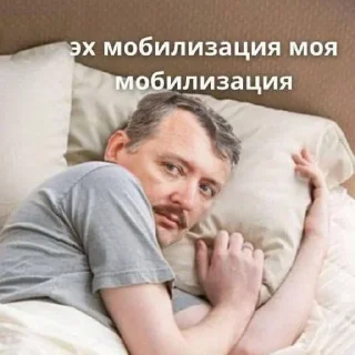 Sticker Стрелков стикеры - 9