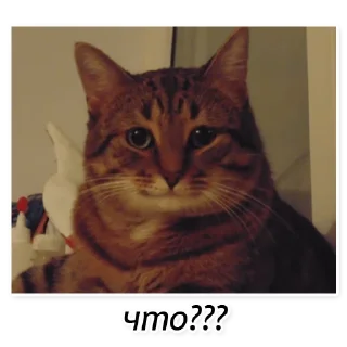 Стикер Полосатый кот улыбается - 10