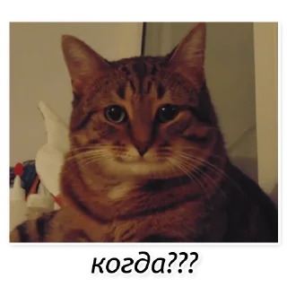 Стикер Полосатый кот улыбается - 4