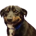 Стикер То, чего мне не хватало - 1