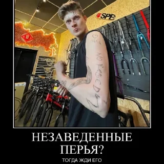 Sticker Сантуретто - 6