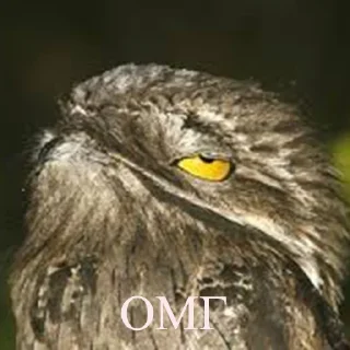 Стикер Lalaki - 0