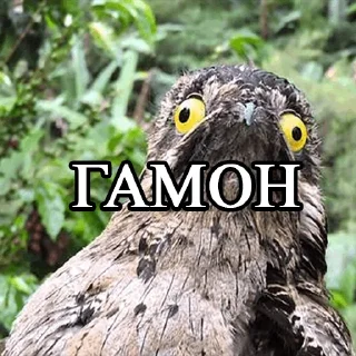 Стикер Lalaki - 7