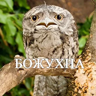 Стикер Lalaki - 4