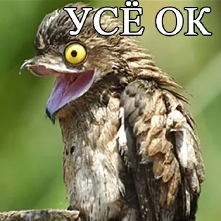 Стикер Lalaki - 8