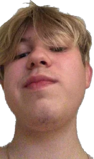 Стикер Димк хрю-хрю - 1