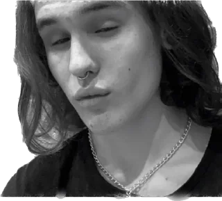 Стикер Димк хрю-хрю - 2