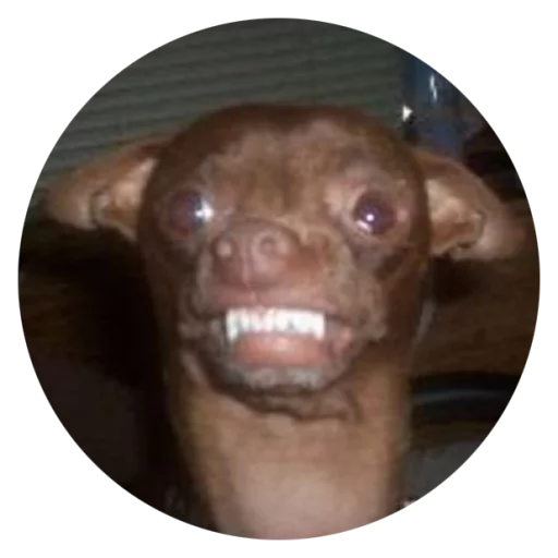 Sticker Stupid Dogs @StikeryTG - 4