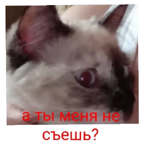 Sticker Peдкостныe долбоeбы - 11