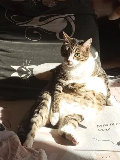 Стикер SuaZkilmTF_by_Sticker_tg_robot - 1