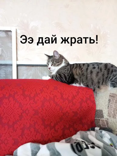 Стикер SuaZkilmTF_by_Sticker_tg_robot - 1